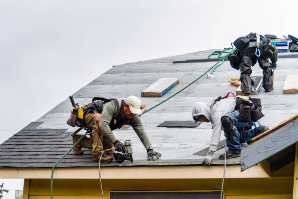 Professional Gutter Installation technician working in Alachua, FL